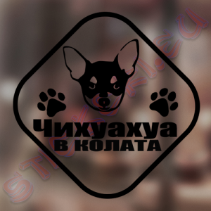 Стикер Чихуахуа в колата - 1