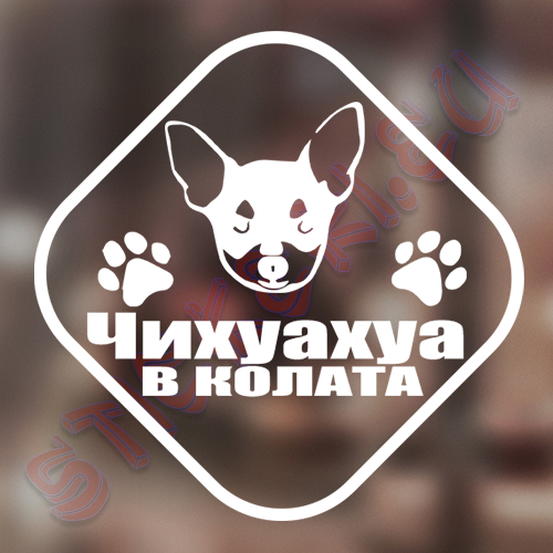 Стикер Чихуахуа в колата - 2