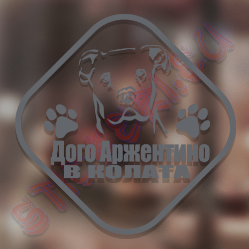 Стикер Дого Аржентино в колата