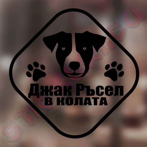 Стикер Джак Ръсел в колата