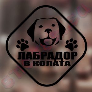 Стикер Лабрадор в колата