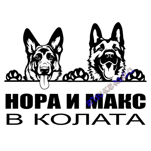 Стикер Немски овчарки в колата