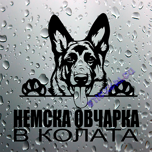 Стикер Немска овчарка в колата - 1