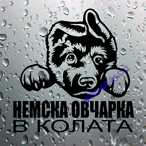 Стикер Немска овчарка в колата 3