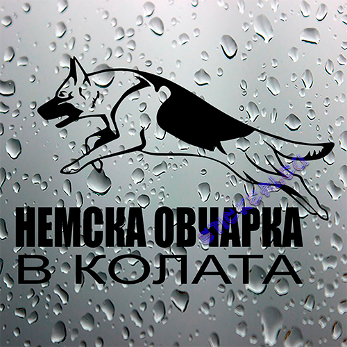 Стикер Немска овчарка в колата 4