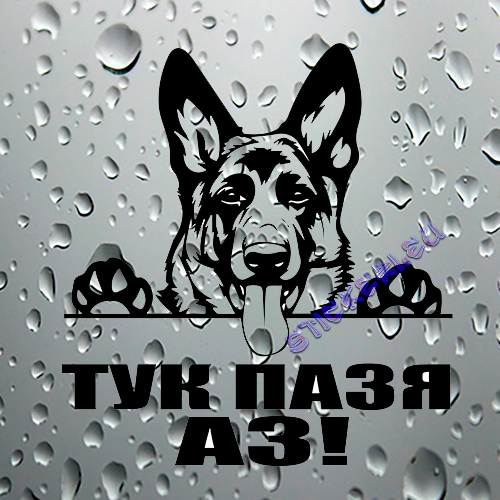 Стикер Немска овчарка ТУК ПАЗЯ АЗ! - 1