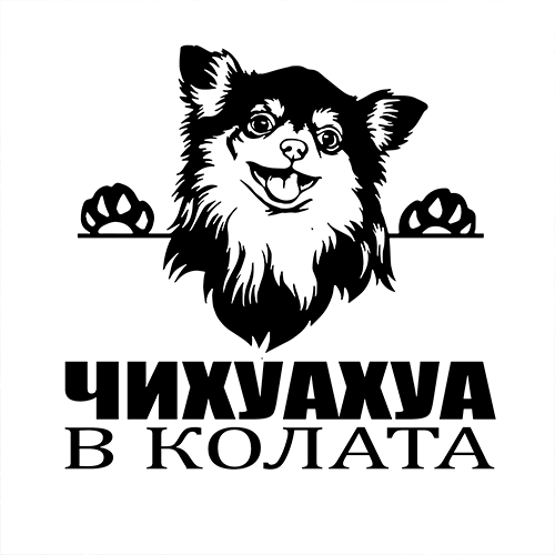 Стикер Чихуахуа в колата 2 - 2