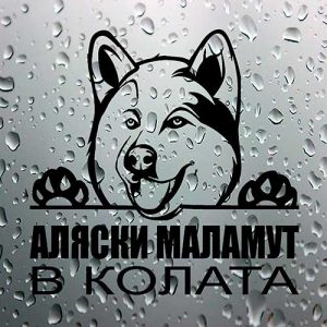Стикер Аляски маламут