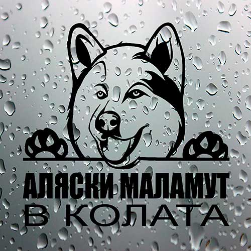 Стикер Аляски маламут