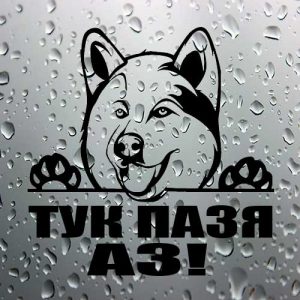 Стикер Аляски маламут - тук пазя аз!